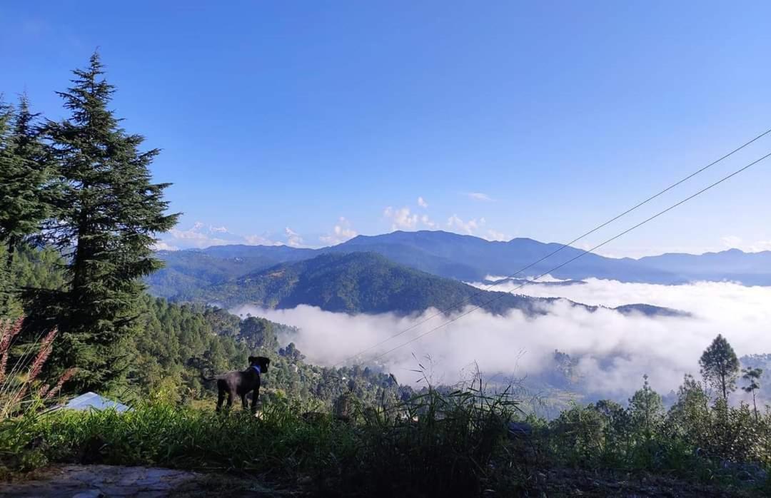 Villa Little Himalayan Abode Almora Exterior foto