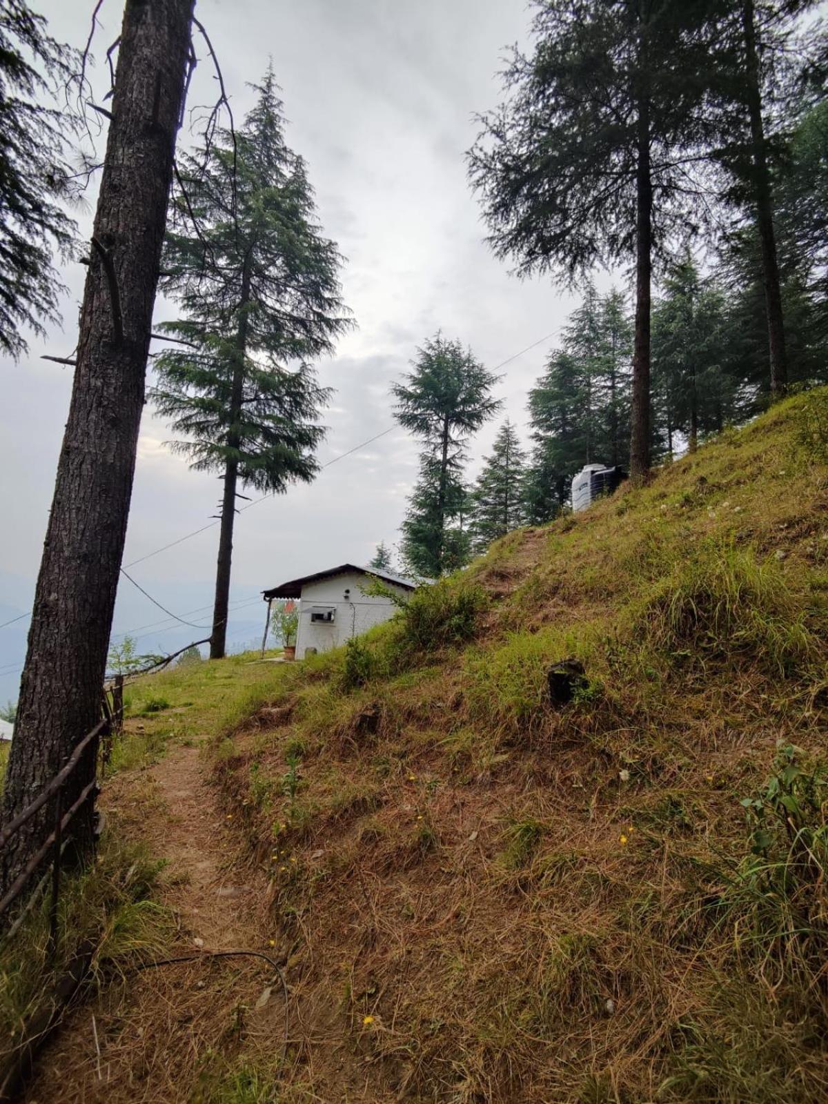 Villa Little Himalayan Abode Almora Exterior foto